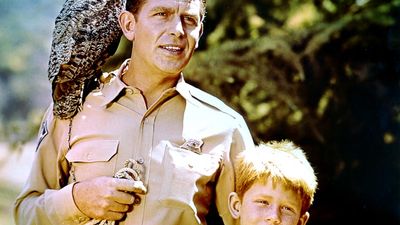 Andy Griffith (left) and Ron Howard in the television series "The Andy Griffith Show" (1960-1968). (comedy)