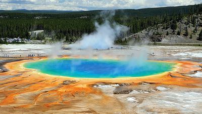 Archaea at Midway Geyser Basin in the Grand Prismatic Spring, Yellowstone National Park, Wyoming. Largest hot spring in Yellowstone, third largest in the world. Temp. 147-188F Dim. 250x380 ft. Archaeon, archeon, Yellowstone Geysers, algae