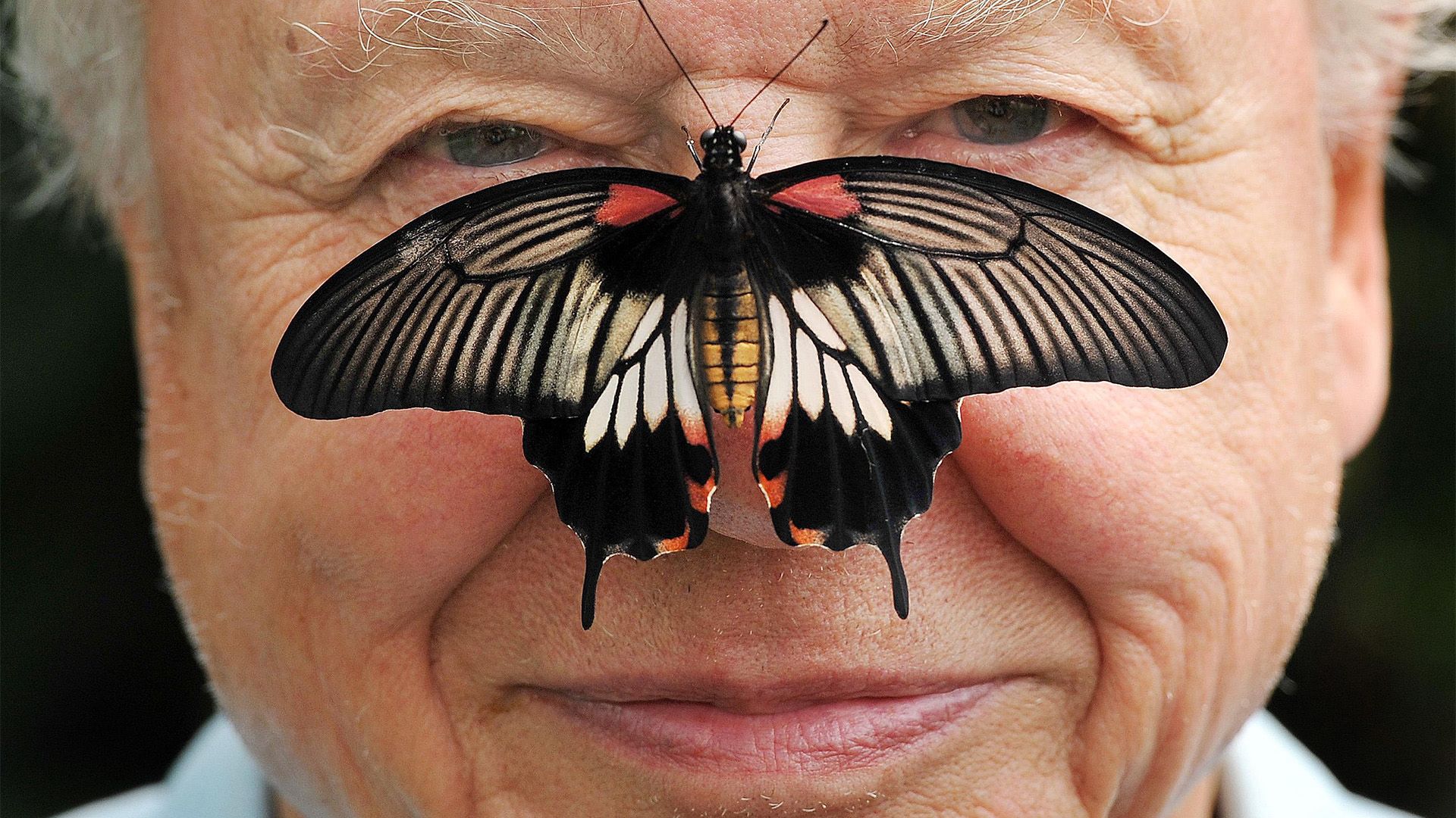 David Attenborough: An explorer's life