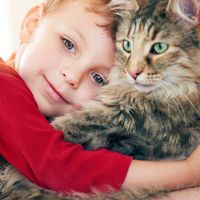 boy with pet cat