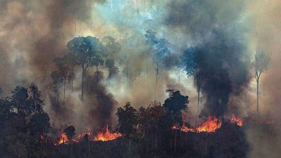 A handout photo made available by Greenpeace Brazil showing smoke rising from the fire at the Amazon forest in Novo Progresso in the state of Para, Brazil, August 23, 2019.