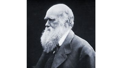 Charles Darwin