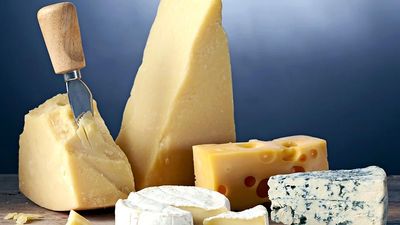 Cheese assortment. Cheese variety. Brie cheese(round in foreground) Blue cheese (right) swiss cheese(with holes) and parmesan cheese (wedges in background) Hard cheese and soft cheese. Cheeses. Dairy.