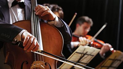 classical music. A musician reads sheet music and plays a cello (cellist) with violinists in an orchestra. String instruments produce sound waves.