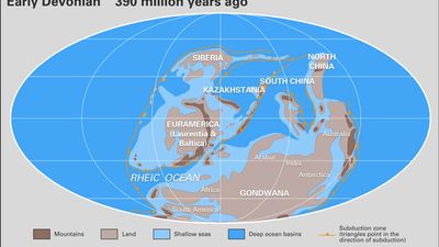 Devonian paleogeography