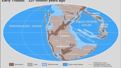 Triassic paleogeography