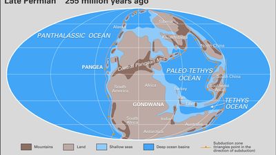 Permian paleogeography