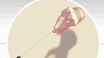 Observe a top-view animation of hammer throw