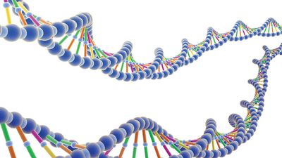 Illustrated strands of DNA. Deoxyribonucleic acid, biology.