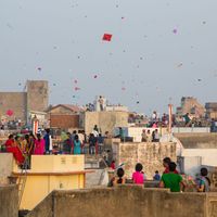 flying kites on Makar Sankranti (Uttarayan)