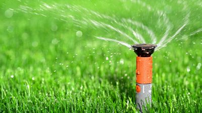 Photo of a Lawn Sprinkler