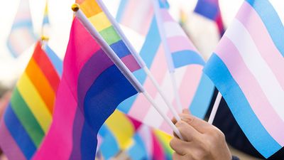 Various LGBTQ pride flags. Rainbow flag. Transgender flag (pale pink, blue and white). Bisexual flag (dark pink, purple, blue)