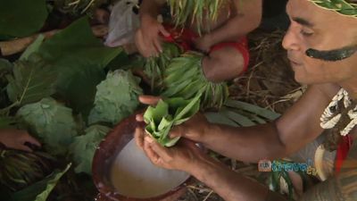 Learn about the traditional practice of Samoan tattooing at the Cultural Village in Apia, Samoa