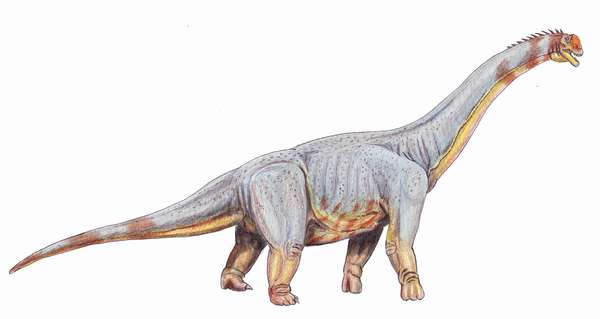 Paralititan stromeri - giant titanosaurian from Albian-Cenomanian of Egypt, dinosaur