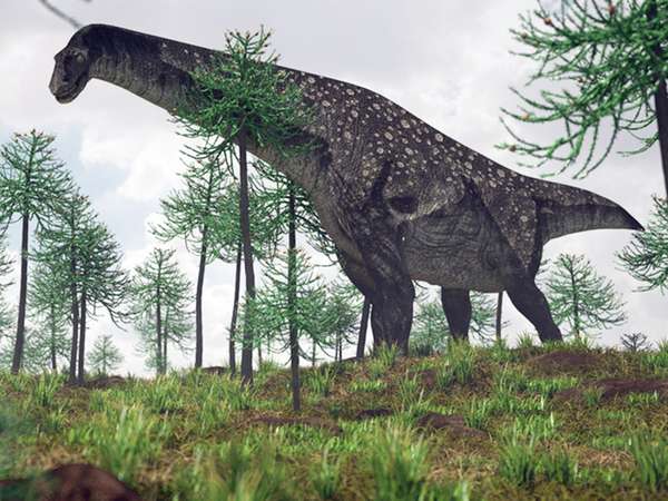 illustration of the walking titanosaurus, Patagotitan mayorum