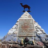 U.S. Army Camel Corps