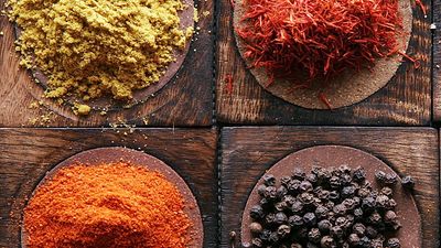 Spices used in Indian cooking (spice; black pepper; turmeric; indian saffron; curry powder; oregano; paprika)