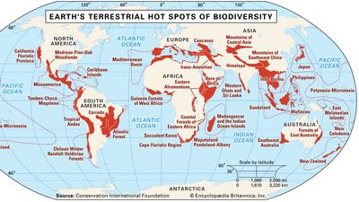 Terrestrial hot spots of biodiversity