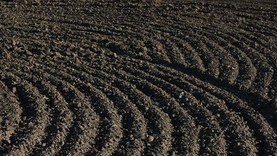 Tilled farmland. (farming, dirt, soil conservation)