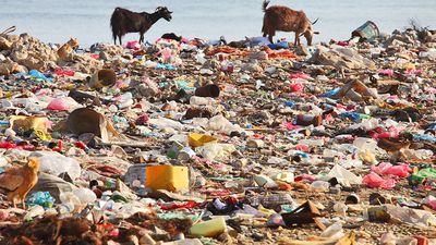 Plastic bag garbage on beach. (pollution; land fill; trash; water pollution; waste)